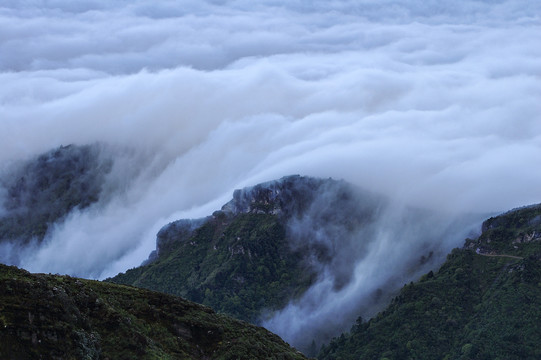 高山1生态自然