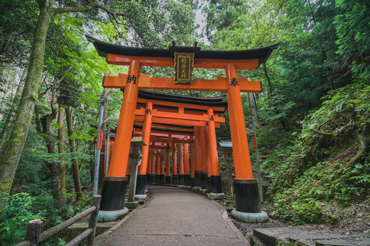 日本京都伏见稻荷大社