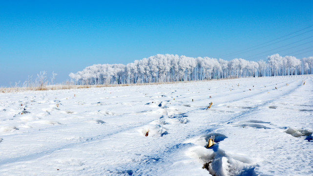 东北雪景冬季积雪