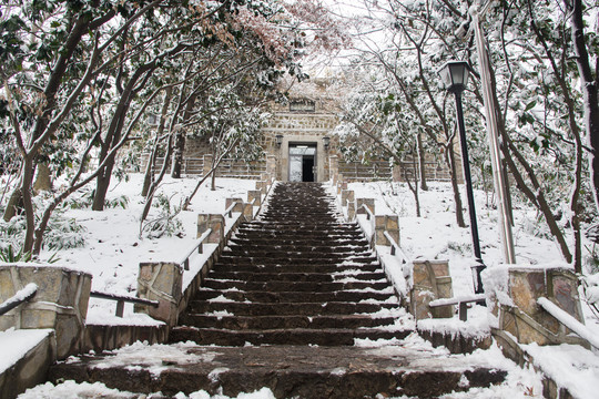 紫金山雪景