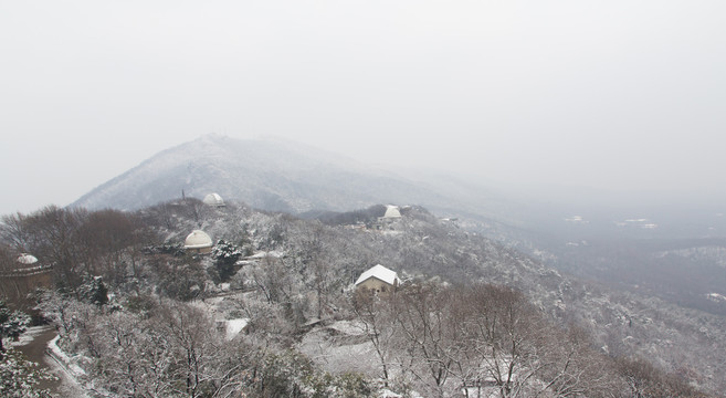 紫金山雪景