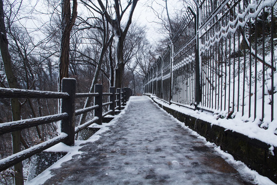 紫金山雪景