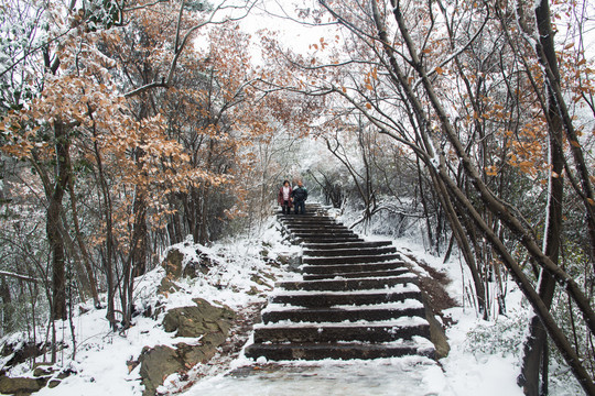 紫金山雪景