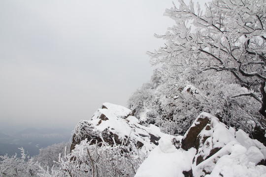 紫金山雪景