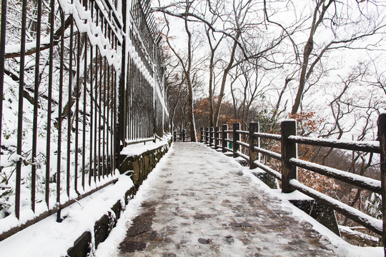 紫金山雪景