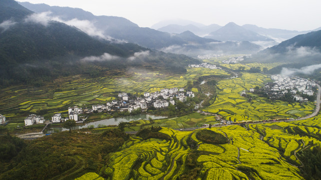 婺源江岭景区