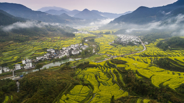 婺源江岭景区