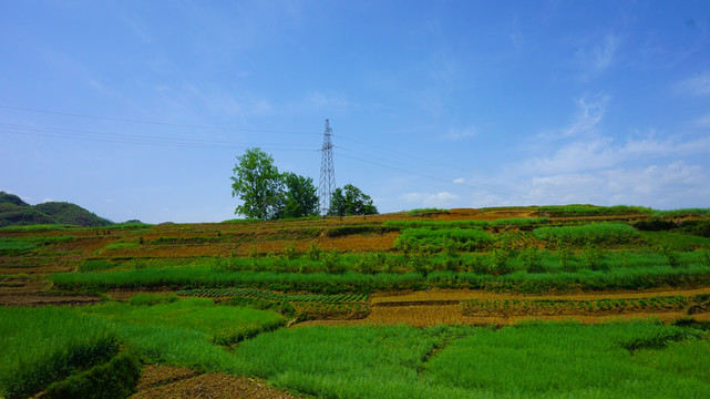 偏头山风光