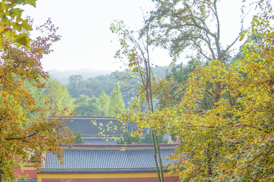 岳麓山古寺