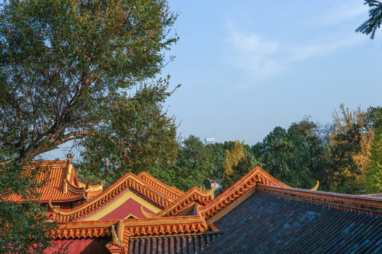 岳麓山古寺