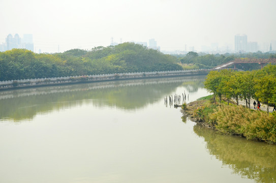 海珠湿地