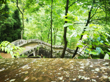 空山新雨后