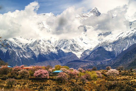 世界屋脊西藏美景