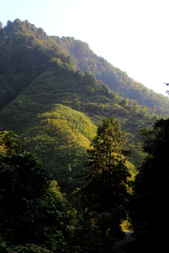 山区秋色