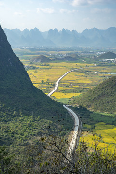 乡间公路