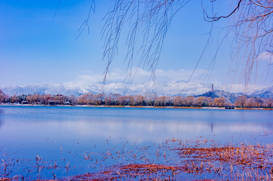 雪后玉泉山