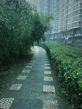 雨中甬道