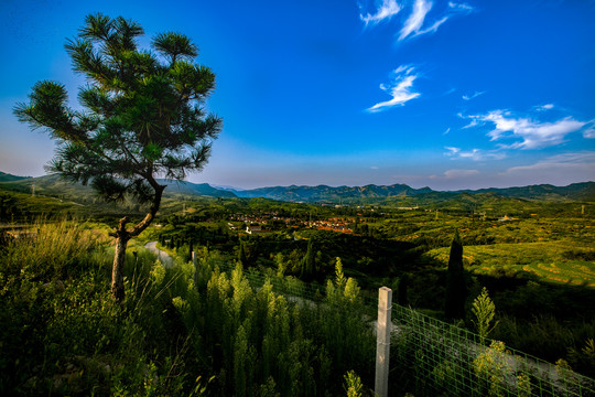 乡村风景