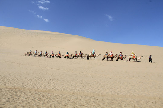 甘肃敦煌鸣沙山的骆驼队