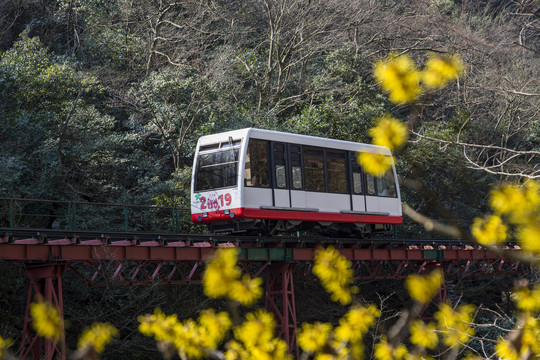 庐山国家级旅游风景名胜区