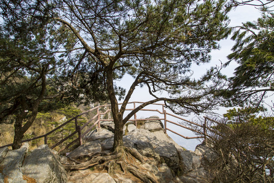 庐山国家级旅游风景名胜区