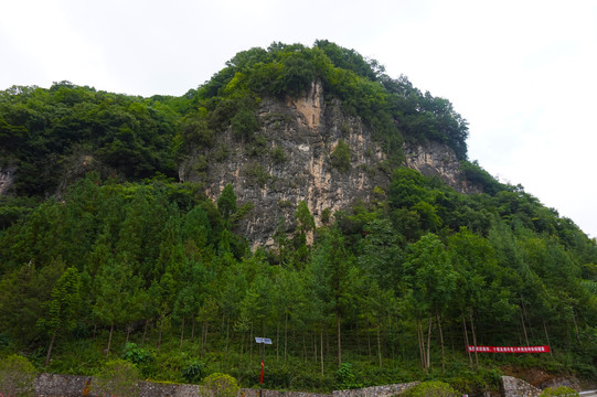 尧治河山水七