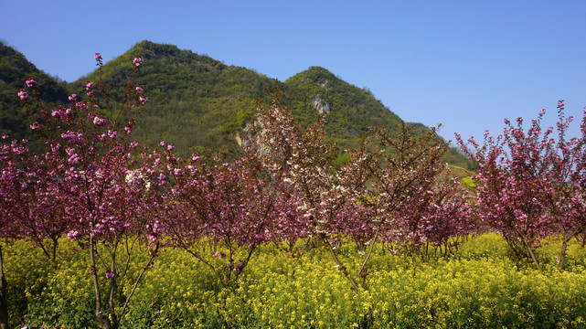 竹溪水坪大石门八