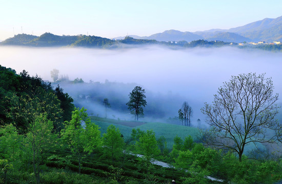 县河云雾四