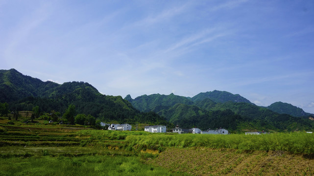 中峰甘家岭风光乡村