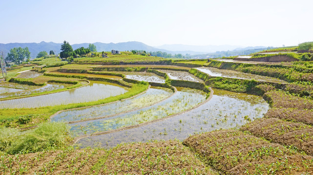 中峰甘家祠五