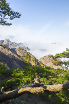 安徽黄山风景区