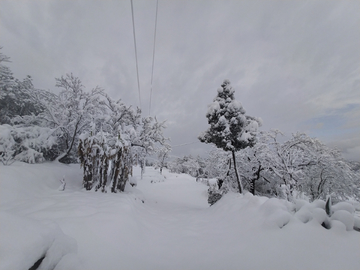 雪景