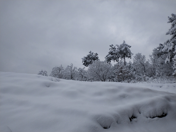 乡村雪景