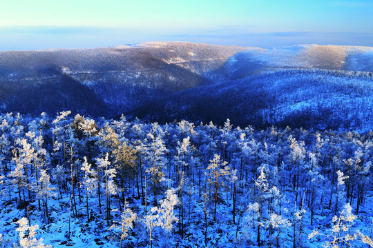 大兴安岭雪域山林雾凇