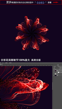 花朵光效