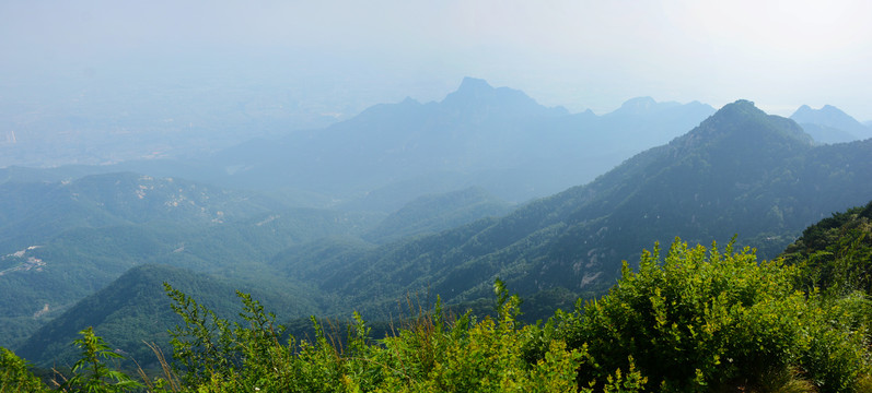 泰山