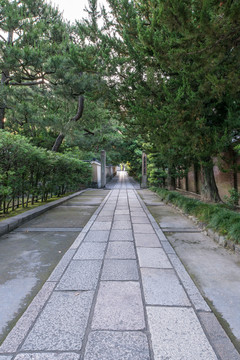 日本京都建仁寺寺院园林