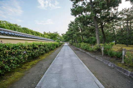 日本寺庙夏季传统园林景观