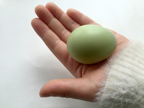 手拿绿壳鸽子蛋
