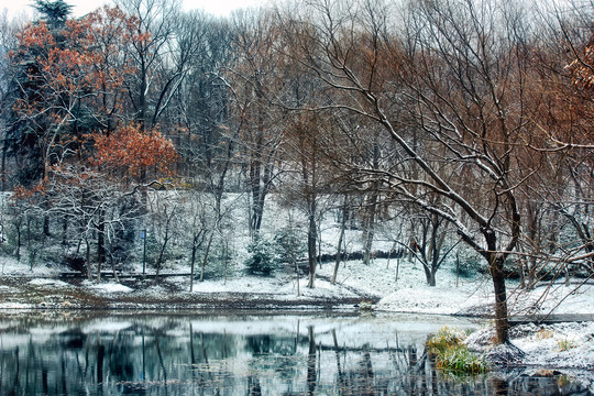 琵琶湖雪景