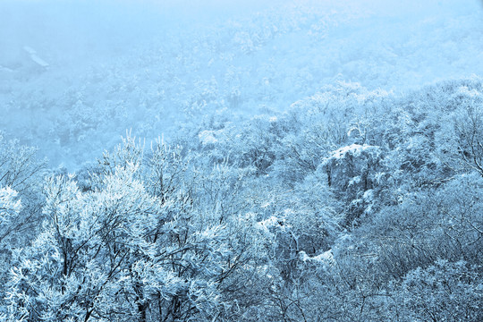 紫金山雪景