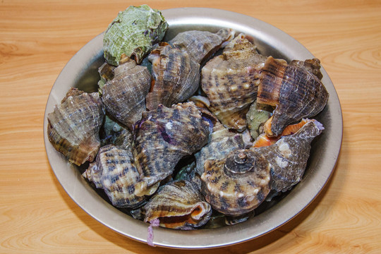 一盆煮熟了的海螺