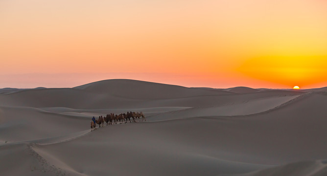 阿拉善沙漠黄昏骆驼太阳光影