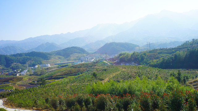 中峰绿之恋景区三