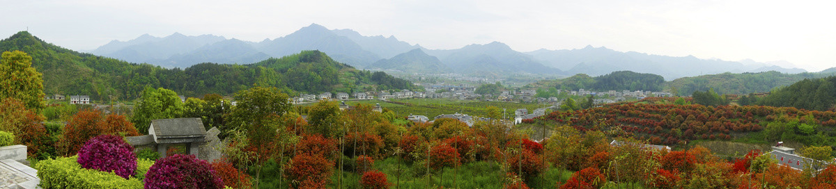 蒋家堰莲花寺全景七