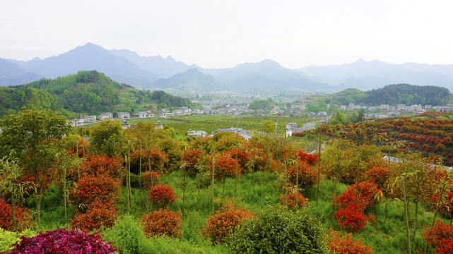 蒋家堰莲花寺全景