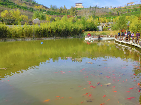 西安旅游山水