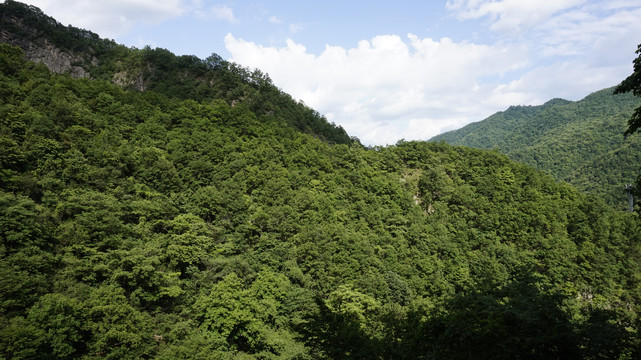 秦岭终南山寨十