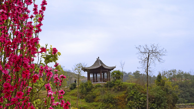 春天桃花岛九