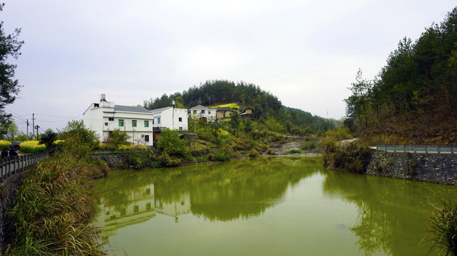 春天桃花岛山水